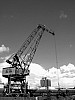 bild 13 - (c) g schorge.jpg